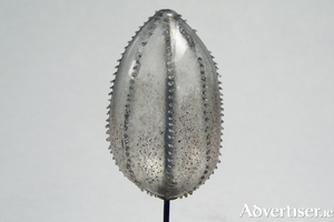 Glass model of a comb-jelly (Bero&euml; punctata) by Leopold and Rudolf Blaschka, circa 1880. [Courtesy of the Zoology and Marine Biology Museum, University of Galway]