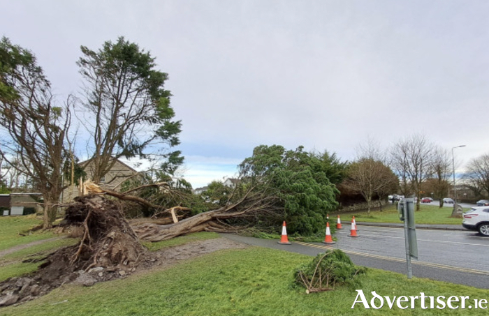 Entrance to Riverside estate. Photo: Galway City Council