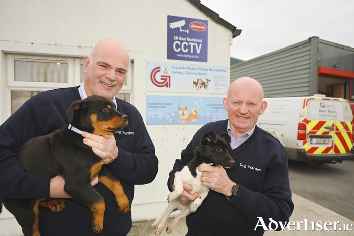 Galway City Council dog wardens Tom Costello and John Cooley with two of the dogs in their care at Galway Dog Pound, Ballybane. Photo: Mike Shaughnessy.