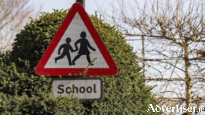 Parents are also calling for the installation of 'illuminated speed signs showing a speed limit of 30 km per hour and are asking for a school warden to be stationed at Dublin Road'.