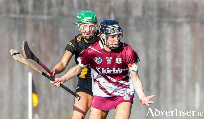 Galway's Carrie Dolan and Kilkenny's Laura Murphy in action last weekend. 
Photo: Billy Culleton
