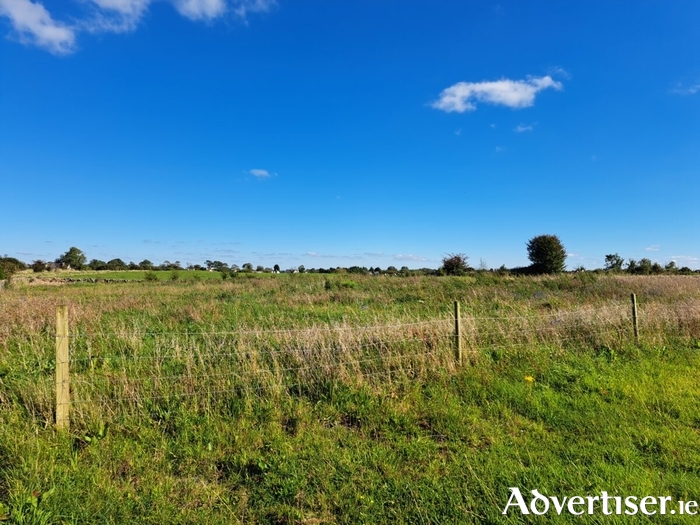 Athenry Community Council recently received trees from Trees on the Land to create a new ecological community garden in Athenry.