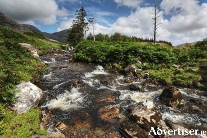 Photo: Chaosheng Zhang.