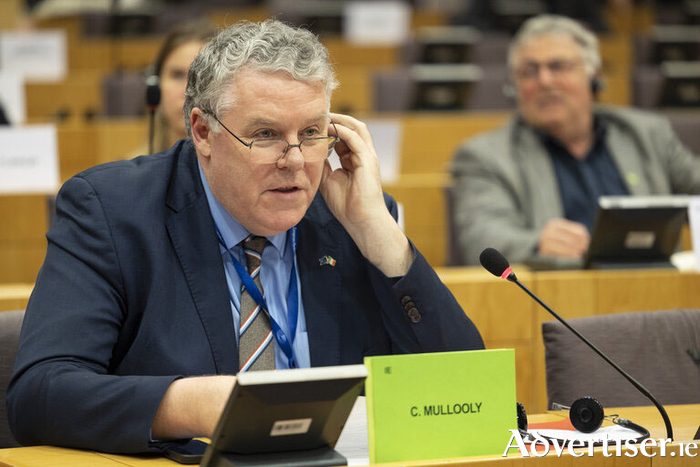 MEP Ciaran Mullooly