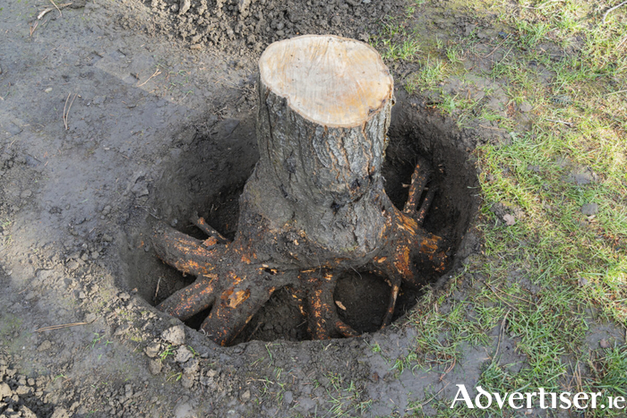 Council must stump up the cash for storm damage repairs