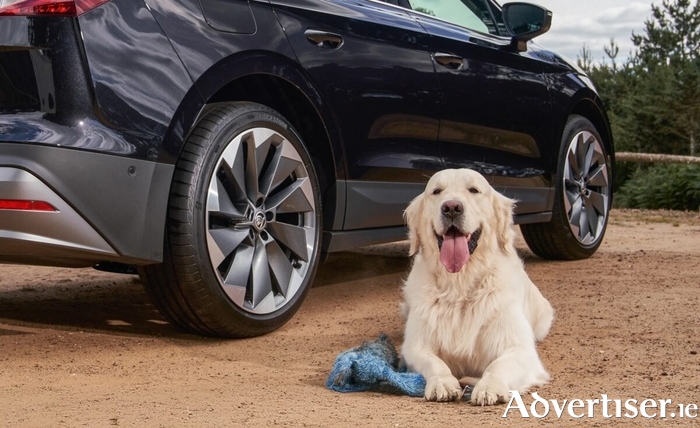 Thanks to its practicality and calming drive, the all-electric SUV and Coupé was named 'Best Car for Dogs' by Autotrader in the UK.