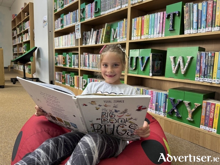 The Woodlands Library in action