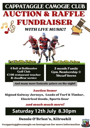 The auction and raffle fundraiser will take place in Dessie O&#039;Brien&#039;s in Kilreekil this Sunday at 8.30pm.
