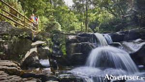 Glenbarrow Eco Walk. Photo courtesy of F&aacute;ilte Ireland