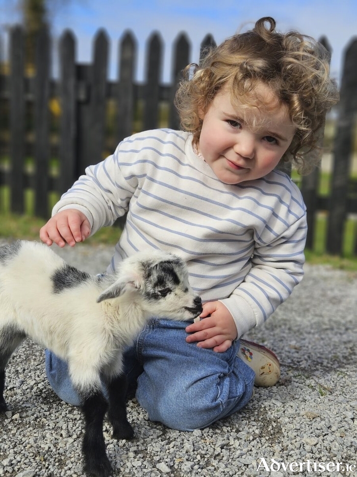 A visit to Glendeer Pet Farm is guaranteed not to disappoint.
