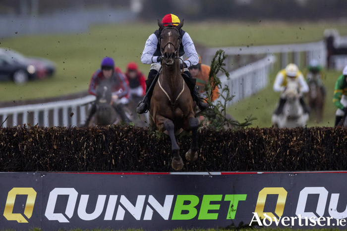 Naas Racing - Cheltenham Trials Day 2025, Naas Racecourse, Kildare. Lee Shanahan on Ryehill wins The QuinnBet Hunters Steeplechase Mandatory. Credit ©INPHO/Morgan Treacy