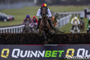 Naas Racing - Cheltenham Trials Day 2025, Naas Racecourse, Kildare. Lee Shanahan on Ryehill wins The QuinnBet Hunters Steeplechase Mandatory. Credit &copy;INPHO/Morgan Treacy