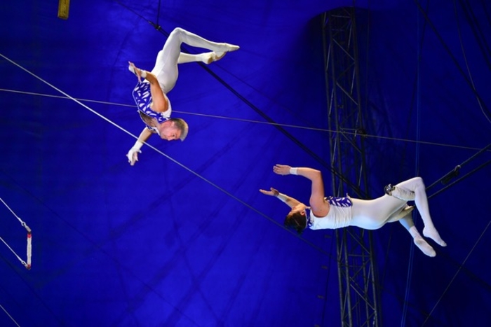 Circus Gerbola includes Ireland's only flying trapeze