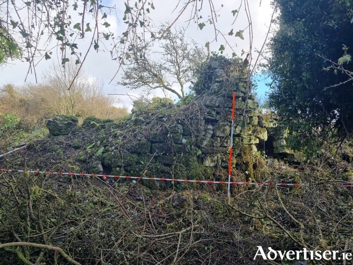The surviving gable end of Kilskeagh medieval church.