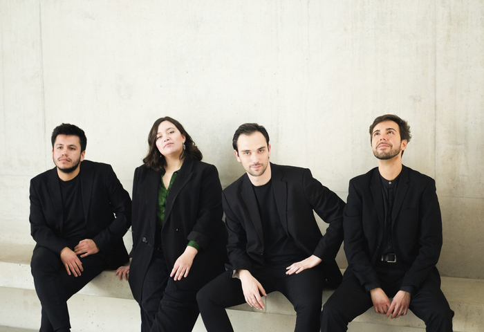 The Kadinsky Quartet, about to embark on their debut concert tour of Ireland. 