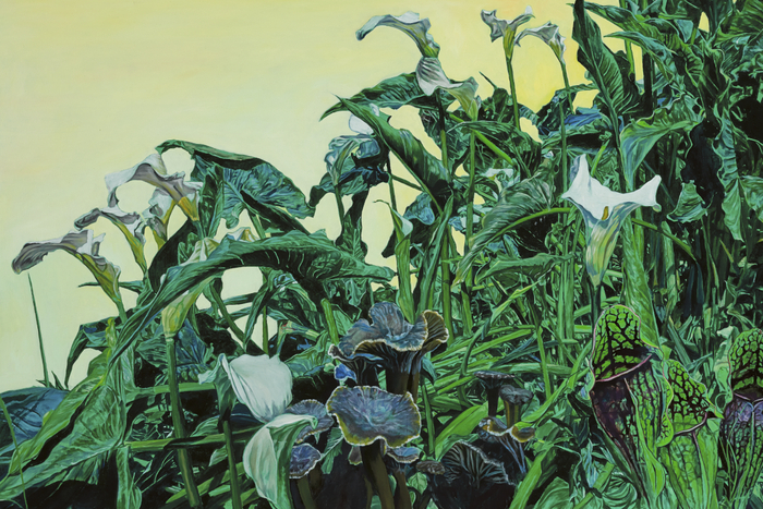 'Life On Earth' by Dave Madigan, on Fierce Nice