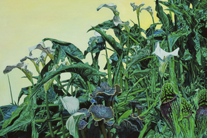 &#039;Life On Earth&#039; by Dave Madigan, on Fierce Nice