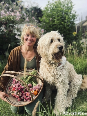 Air Plants Ireland provides sustainable everlasting flowers grown in Galway city.