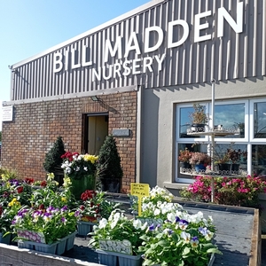 Bill Madden Nursery. 