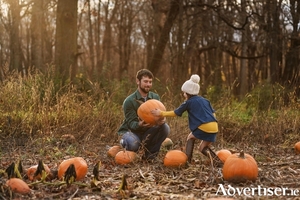 Included in the package, children can select their own pumpkin whish the hotel&#039;s chefs can carve into a unique design, making for a personal seasonal keepsake.