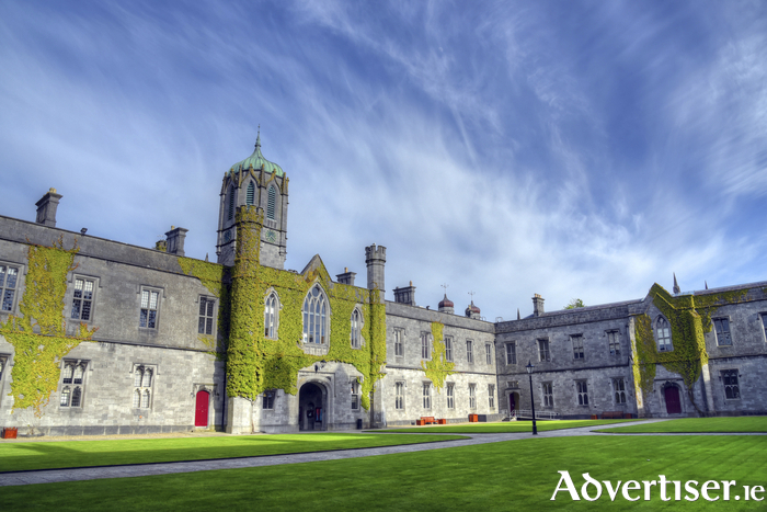 Fortis Medical Devices began as a spin-out at University of Galway.