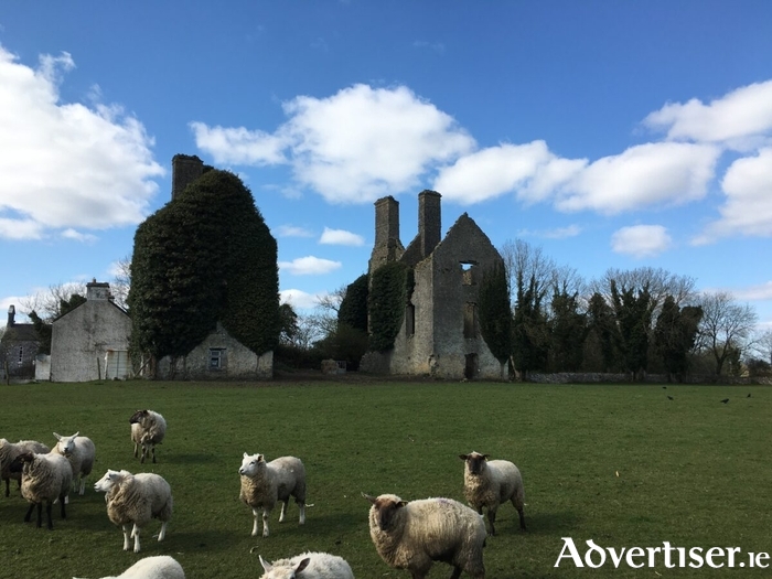 Athleague Castle is a ruined house built on the site of an earlier fort designed to curb the O'Kellys