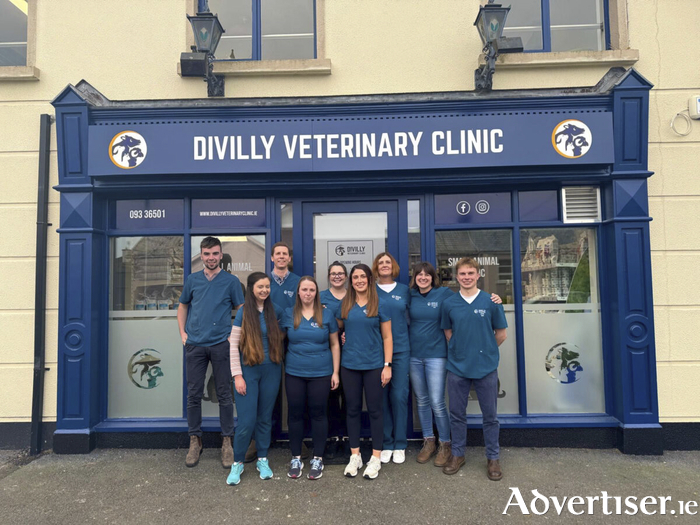 The team at Divilly Veterinary Clinic.