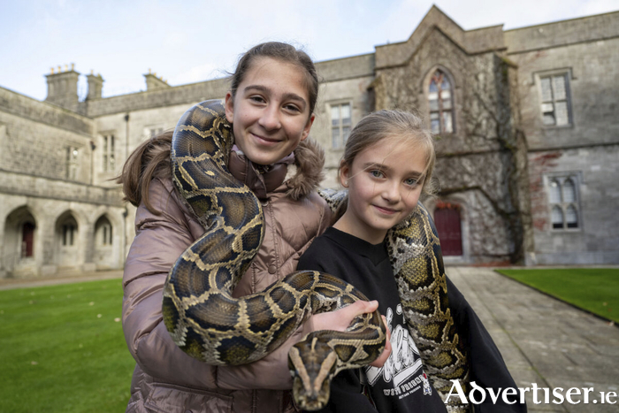 Sisters Victoria (11) and Gabby Wujanisz (8) with a10-foot python at the Galway Science and Technology Festival at the University of Galway. Over 15,000 science fans attended the exhibition day that displayed all aspects of STEM. The festival kicks off the start of the national Science Week with events all over the country. Photo: Andrew Downes, xposure