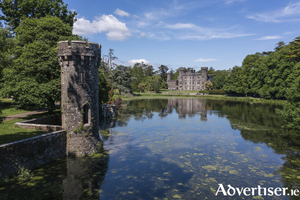 Johnstown Castle, Co Wexford.