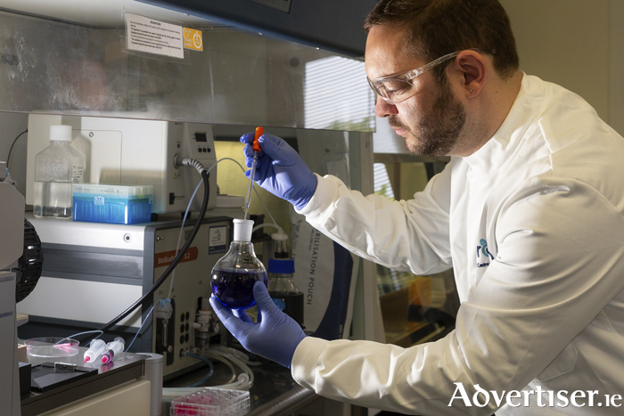 Scientist Dr Mihai Lomora working on organoids research in the lab at University of Galway. Image: Martina Regan.