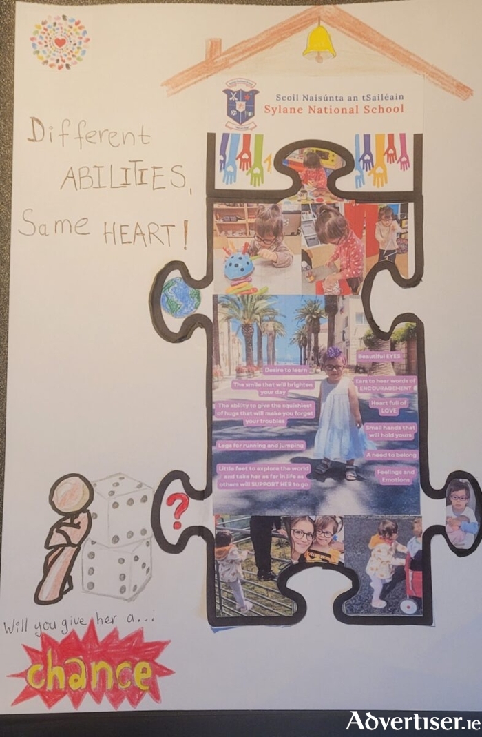 Benjamin Buday is a 6th class student in Tuam's Sylane School. He also cares for his sister, Esther. His collage won the senior title for County Galway.