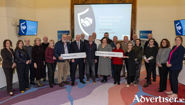 Members of the newly established Galway County Local Community Safety Partnership (LCSP) pictured at their inaugural meeting in &Aacute;ras an Chontae. Photo : Murtography