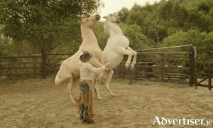 Ollie Hepburn at his farm in Donegal
