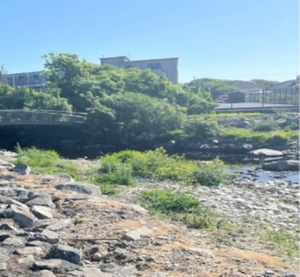 An Seomra Ranga Lasmuigh.