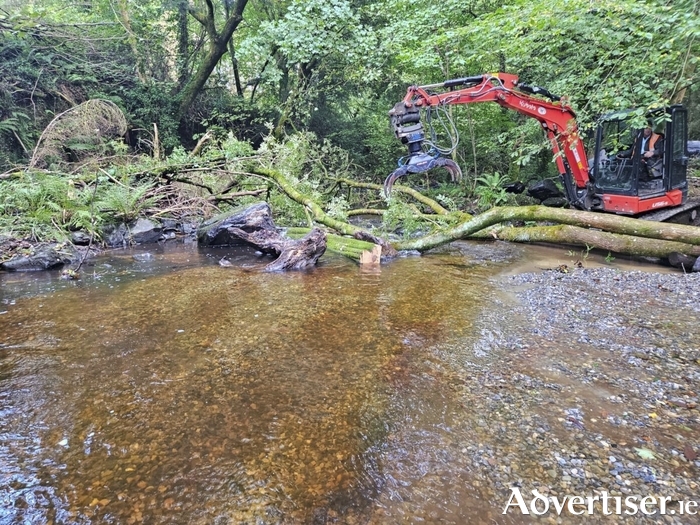 Inland Fisheries Ireland (IFI ) scientists are replicating natural wood structures in Irish rivers, including in Galway, to help nurture salmon, trout, and lamprey.