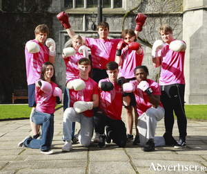 Attending the launch of &lsquo;Box in Pink&rsquo; which takes place on the 10th of March at the Clayton Hotel, to help raise funds for the National Breast Cancer Research Institute (NBCRI) were: University of Galway CancerSoc students, (Back Row): Finn Conroy, Alannah Ryan, Andrew Costello, Eoin Kenny, Yan Leydon. (Front Row) Jess Oakley O&rsquo;Kelly, Oran Canty, Danny Maher, Niall Awogboro. Photo: Sean Lydon