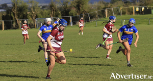 Cara Giblin in action in the All-Ireland U16A Camogie semi-final victory over Tipperary. (Photo: Alan Massey)