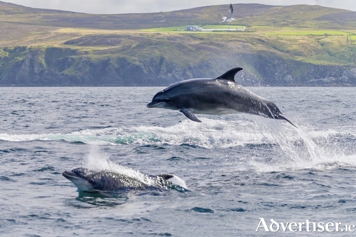 Photo taken in Donegal, Ireland