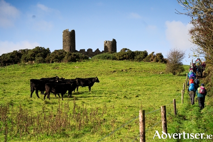 Castle Oliver. Photo: Jana Mannion.