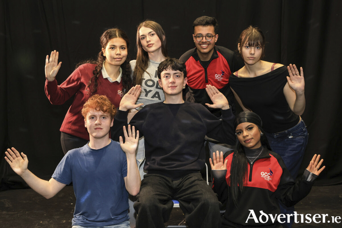 Back row l-r, Nisrine Nasr Mahmoud from Galway Community College, Peter Mulcahy, Galway Educate Together Secondary School, Mohammad Saed, Galway Community College, and Enya Eglite, Galway Educate Together Secondary School. Front row l-r Se&aacute;n Mulryan, Galway Educate Together Secondary School, Se&aacute;n McManus, Galway Educate Together Secondary School, and Erica Efe Ewere, Galway Community College.