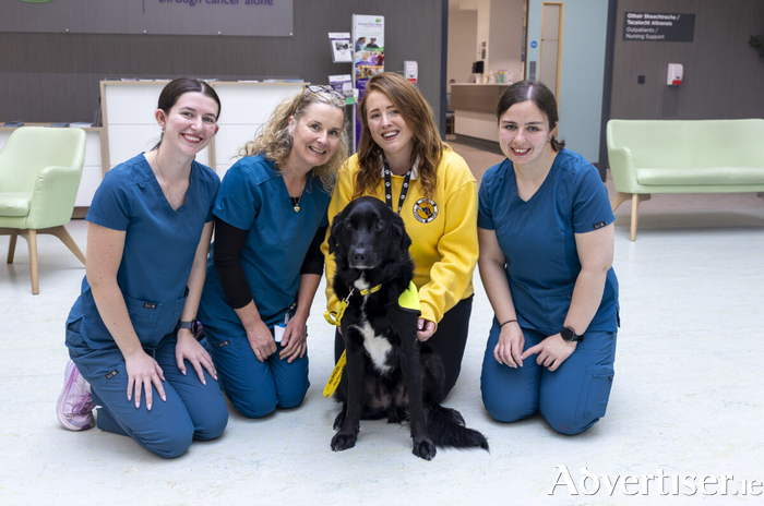 Radiation Therapists Aisling McGlinchey, Tina Gilmartin and Antonia Smyth pictured with &Aacute;ine N&iacute; Fhlaithearta and Irish Therapy Dog Khai at the Radiation Oncology Centre, University Hospital Galway.