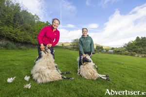 Sisters Alice (17) and Ellen Drohan (19) at their farm, Cooney&rsquo;s Yard - Alice and Ellen will be hosting traditional sheep shearing demonstrations at the upcoming Comeraghs Wild Festival, which takes place across Waterford&rsquo;s spectacular Copper Coast and Comeragh region from July 9 to 12. Photo Patrick Browne