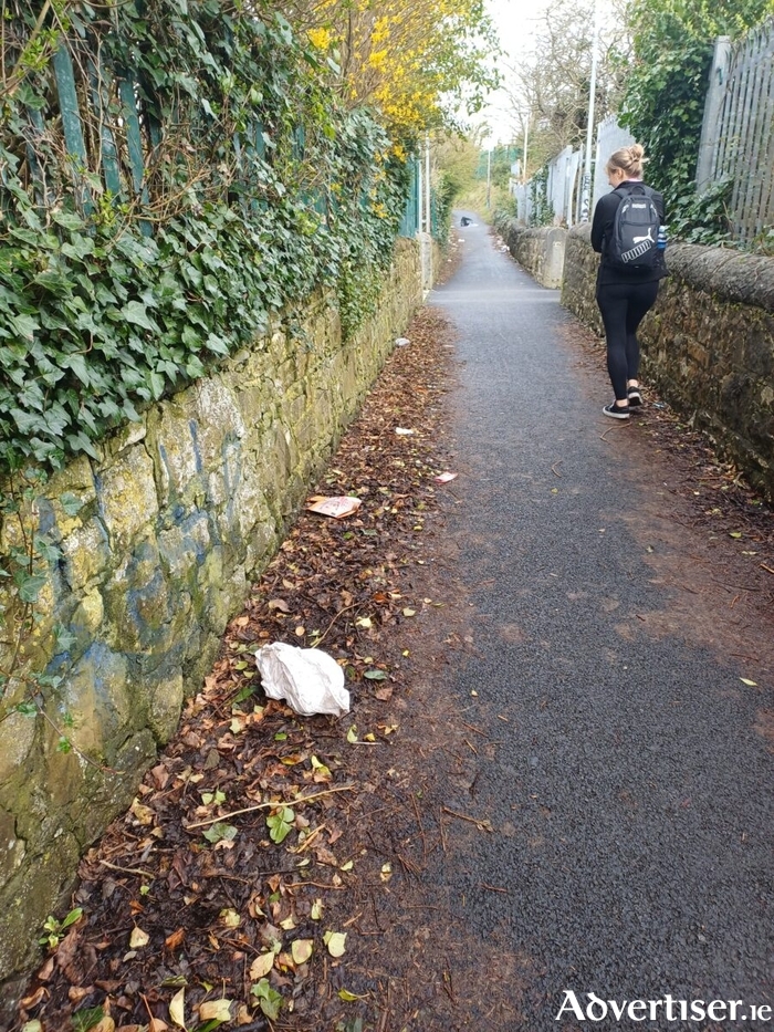 Cllr O'Flaherty has warned that walking The Line has become dangerous due to e-scooters and bicycles speeding along the narrow pathway between Renmore and the city centre.