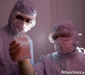 Cell manufacturing technicians preparing a cell therapy dose to be used for intravenous infusion