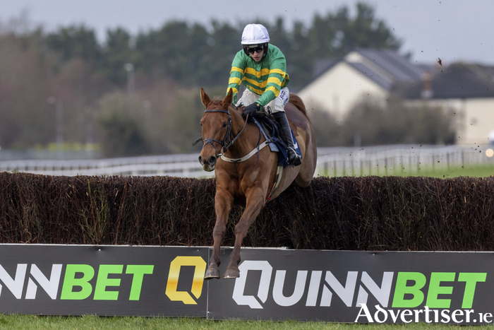 Dino Blue in Naas earlier this year (Pic: Healy Racing)
