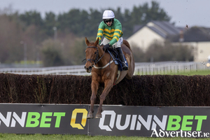 Dino Blue in Naas earlier this year (Pic: Healy Racing)