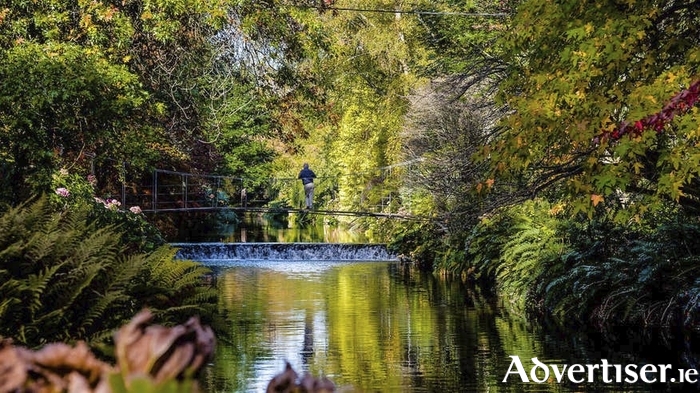 Mount Usher Gardens