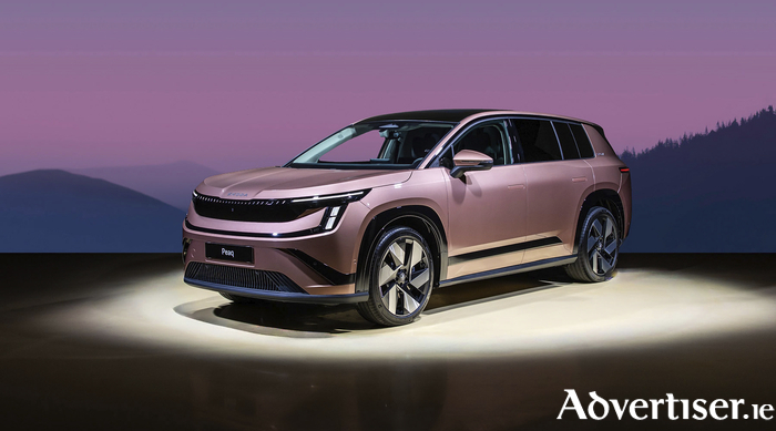 The Skoda Peaq will arrive in Ireland this November.