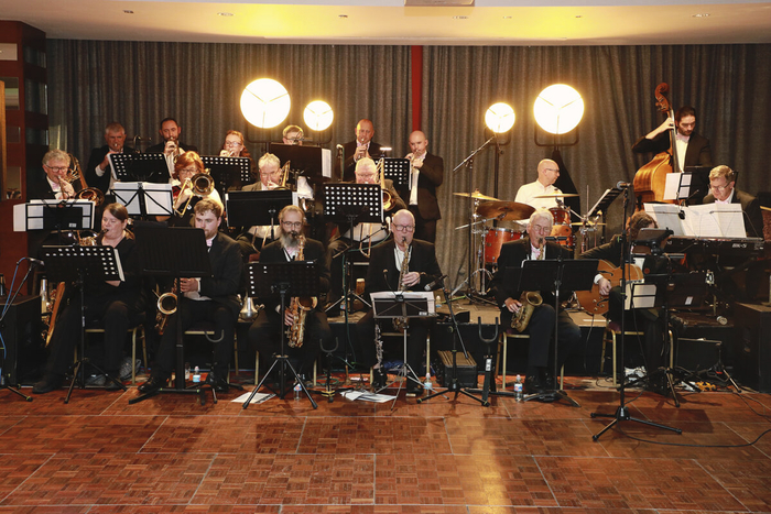 The Moonlight Bog Band