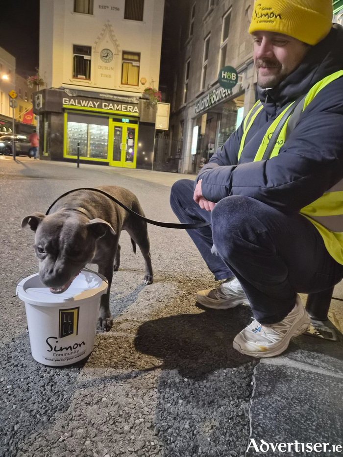 Simon volunteer S&eacute;amus Brennan with his helper, Fr&eacute;l&aacute;n Photo: Maxim Kelly